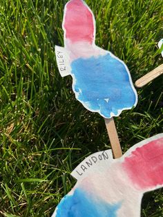 two popsicle shaped like bunnies sitting on top of green grass with the words land o'lakes painted on them