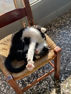 a black and white cat laying on top of a wooden chair