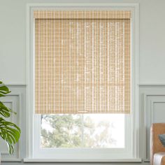 a living room with a window covered in roman shades and a plant next to it