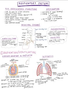 a whiteboard with some diagrams on it