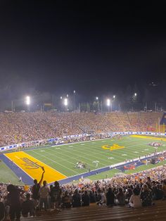 a football stadium filled with lots of people