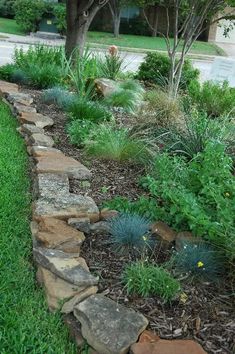 a garden with rocks and plants on the side of the road in front of a house