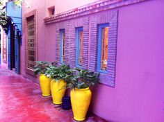 three yellow vases with plants in them on the side of a building