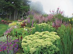 a garden filled with lots of different types of flowers