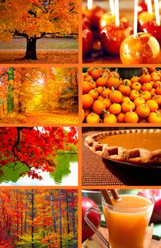 an image of autumn collage with oranges and apples