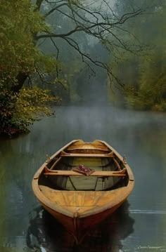 a boat floating on top of a river next to a forest