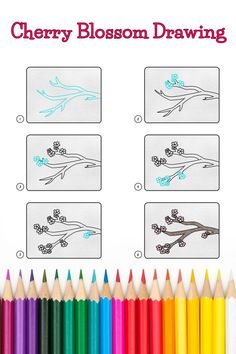 6 steps demonstrating how to draw a cherry blossom drawing for kids. Blossom Drawing Simple, Cherry Blossom Drawing Simple, Cherry Blossom Step By Step, Draw Cherry Blossom, Drawing Simple Step By Step, Blossom Drawing, Cherry Blossom Drawing