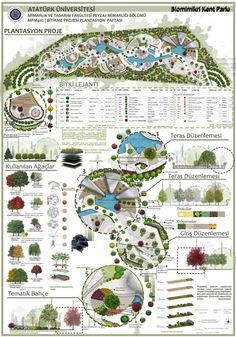 a garden plan with lots of trees and plants