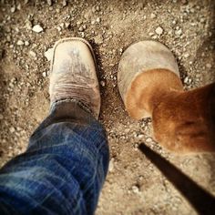 two dogs standing next to each other in the dirt and gravel with their feet up