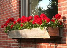 red flowers are in a window box on the side of a brick building with metal brackets