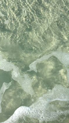 the water is very clear and green with little bubbles on it's surface as seen from above