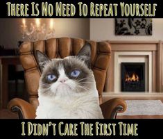 a grumpy cat sitting in a chair with the caption i'll probably be reincarnated as me