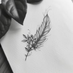 Feather Tattoo Master Files Cover Up Writing Tattoos For Women, Country Feather Tattoo, Shoulder Feather Tattoo, Big Feather Tattoo, Hawk Feather Tattoo Feminine, Feathers Illustration, Feminine Feather Tattoo, Eagle Feather Tattoo Design, Feather Wing Tattoo