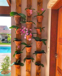 a bunch of potted plants are hanging on the side of a wall in front of a pool