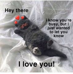 a cat laying on it's back with its paw in the air and text that says hey there i know you're busy, but i just wanted to let you know