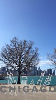 the chicago skyline with chairs and trees in front of it on a clear blue day