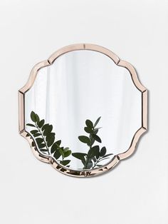 a mirror that is on the wall with some plants in front of it and a potted plant next to it