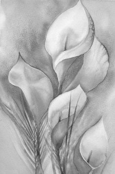 a black and white drawing of some flowers