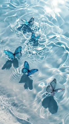 background wallpaper Underwater Wallpaper, Helloween Wallpaper, ليلو وستيتش, Blue Butterfly Wallpaper, Butterfly Wallpaper Backgrounds