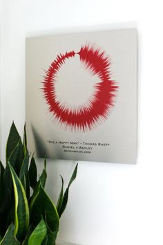 a potted plant sitting next to a white wall with a red circle on it