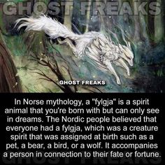 an image of a ghost in the woods with text that reads, ghost freaks i chose mythology, a tygla is a spirit animal that you're born with but can only see