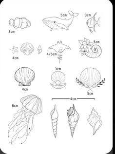 Strand Tattoo, Small Beach Tattoos, Ocean Things, Hawaii Tattoo, Beachy Tattoos, Tropical Tattoo, Hawaii Tattoos, Seashell Tattoos, Shell Tattoos