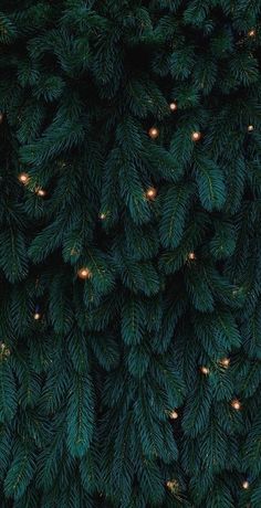 the top view of a christmas tree with lights on it's branches and green leaves