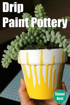 a hand holding a yellow and white potted plant with green plants growing out of it