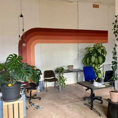 an office with two desks and plants in the corner