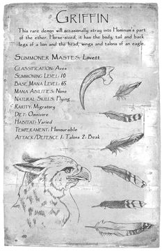 an old paper with some writing on it and pictures of different types of birds in flight