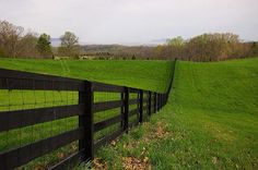 a black fence in the middle of a grassy field