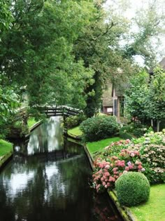 a small canal running through a lush green park filled with lots of trees and flowers