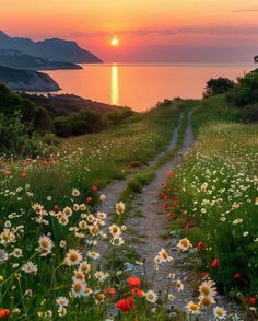 the sun is setting over the water and flowers are blooming on the path to the beach