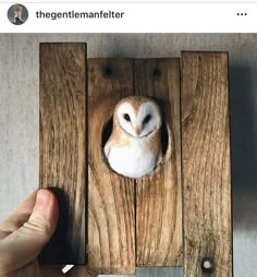 an owl is poking its head out of a hole in a wood paneled wall