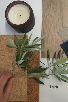 a person holding a candle next to some tiles and a plant with leaves on it