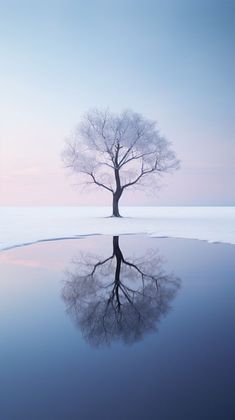 a lone tree stands in the middle of a frozen lake with its reflection on the water