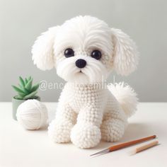 a small white dog sitting next to a ball of yarn and two crochet needles