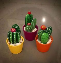 four small cactus plants in colorful pots on a table