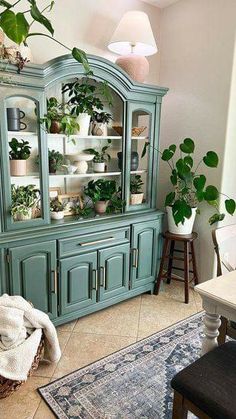 a green china cabinet with potted plants in it and a rug on the floor