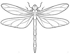 a drawing of a dragonfly