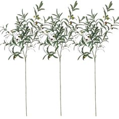 PRICES MAY VARY. Large Artificial Olive Branches：Artificial Olive Branches are approximately 100cm/39inch tall. each olive branch has 10 pliable stems. The leaves of the artificial olive branch are made of silk, the stem is made of wire, wrapped in plastic, foam fruit, and the branches can be twisted into different shapes. The green olive branch is waterproof and durable; Fake Green Plants：These artificial olive trees have lush branches and lovely fruits. You can match them freely with other fak Olive Plant, Wedding Branches, Olive Wreath, Artificial Branches, Olive Branches, Fake Trees, Home Decor Wedding, Real Leaves, Olive Trees