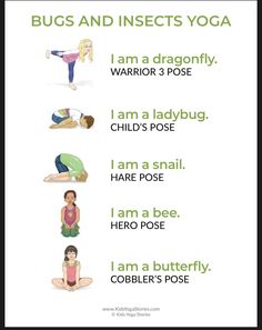 a poster with the words bugs and insects yoga