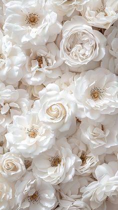 large white flowers are arranged together in this photo