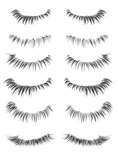 the different lashes are shown in black and white, with long eyelashes on each side