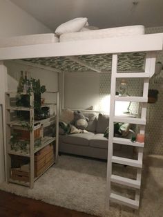 a living room with a loft bed next to a couch and shelves filled with plants