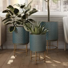 two blue planters sitting on top of wooden floors