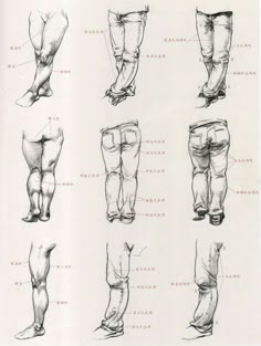 an open book showing different types of legs