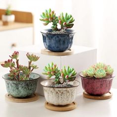 PRICES MAY VARY. Floral Design Pots: YYW plant pots set of four with different designs and bamboo trays. These flower pots are perfect for indoor & outdoor with a natural raw texture and smooth surface that adds fascinating charm to the home. These tiny plant pots are designed to grow petite plants or display artificial plants, air plants, succulents, herbs, cactus, etc. Drainage Holes & Trays: Each flower pots is designed with one drainage hole in the bottom and comes with removable bamboo tray Indoor Cactus Plants, Small House Plants, Ceramic Succulent Pots, Cactus Plant Pots, Mini Plant Pots, Ceramic Succulent Planter, Ceramic Flower Pot, Planting Pot, Ceramic Succulent