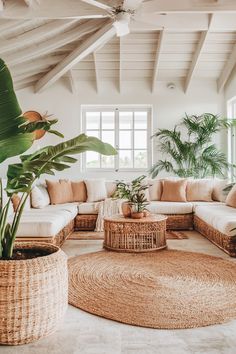 a living room with wicker furniture and large plants in the corner, along with potted palm trees