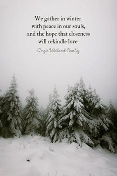 trees covered in snow with a quote about winter